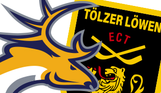 T&ouml;lzer L&ouml;wen