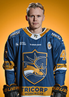 Bjorn  Borgman